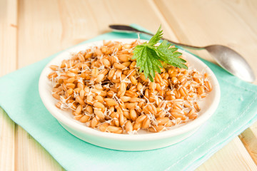 Sprouted wheat seeds