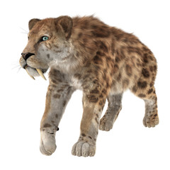 Big Cat Smilodon