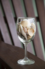 Sea shells in the glass 