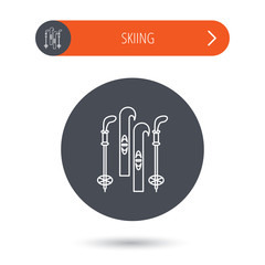 Skiing icon. Ski and sticks sign.