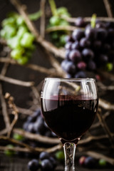 Fresh grapes