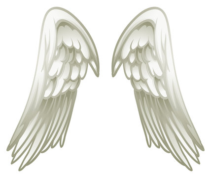 Pair of angel wings