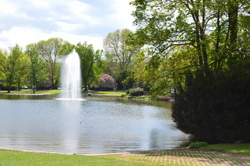Teich im Stadtpark Wiesbaden
