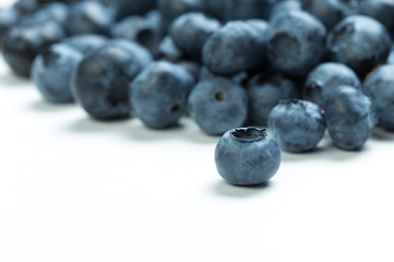 Blueberry harvest