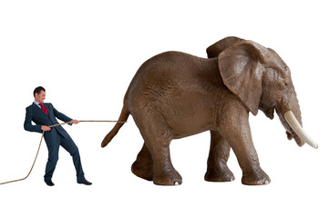 businessman trying to restrain an elephant