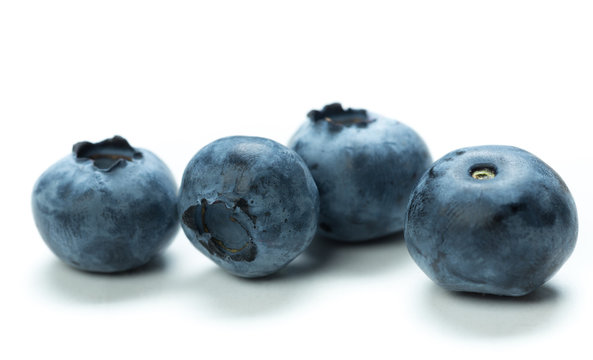 Blueberry harvest