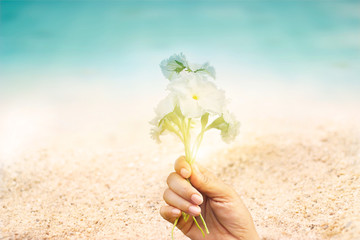 Abstract seaside flowers in hand on sand sea beach summer 