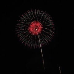 Fototapeta premium Skyrocket fireworks