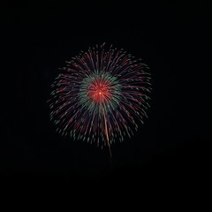 Skyrocket fireworks