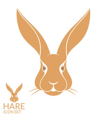 Hare