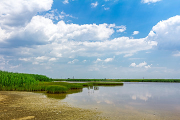 Obraz na płótnie Canvas View over marshland