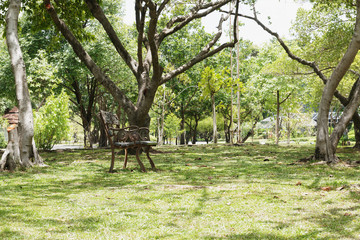 The bench under the shade of trees in the park.