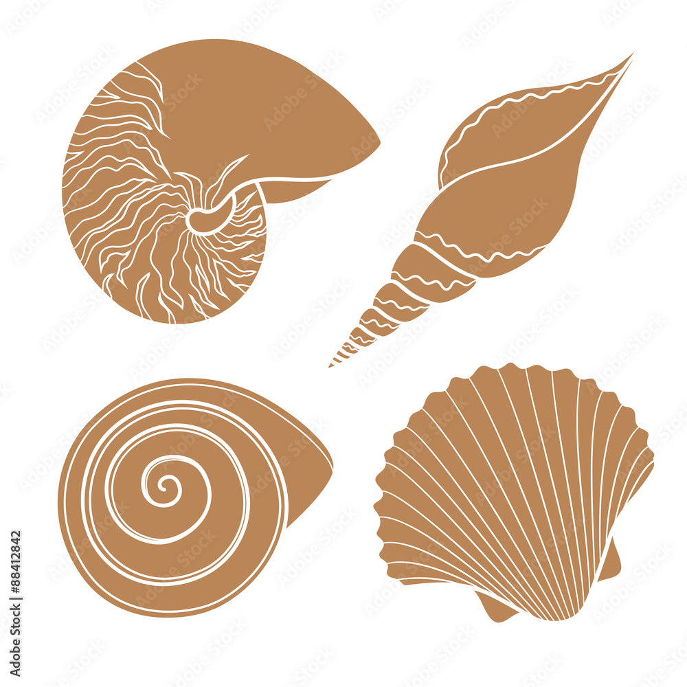 Poster set of graphic sea shells. vector illustration. isolated objects on a white background.
