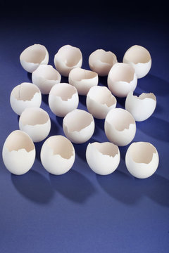  Mehrere Eierschalen in Reihen