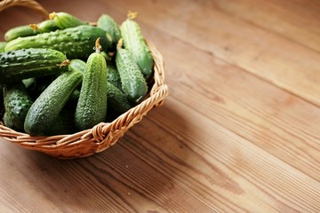 Harvest cucumbers in a basket on the wooden background