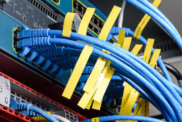 Blue UPT Cat5 e connecting on network core switch