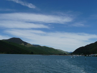 Fototapeta na wymiar Bootstour durch die Marlborough Sounds, Südinsel Neuseeland