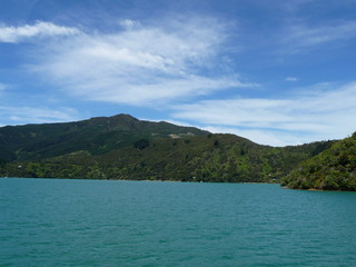 Bootstour durch die Marlborough Sounds, Südinsel  Neuseeland