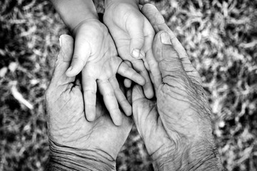 Young and old hands - 88419233