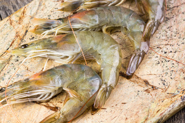 Shrimps.