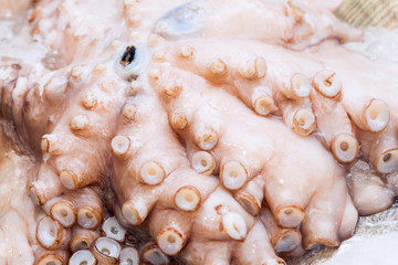 Fresh octopus stack closeup at the seafood market