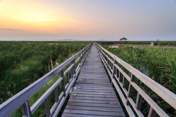 Fototapeta na wymiar Wooden bridge cross around marsh in sunset time at Sam Roi Yot National Park,Thailand