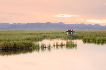 Fototapeta premium Wooden bridge cross around marsh in sunset time at Sam Roi Yot National Park,Thailand