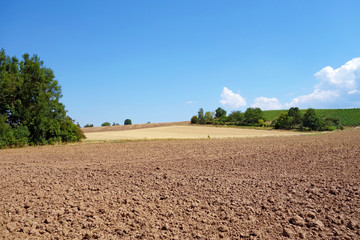 Brown farmland
