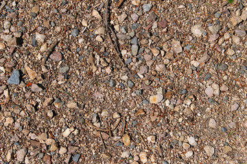 Way poured out small pebbles gravel