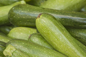 Organic Green Zucchini