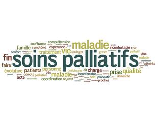 Soins palliatifs (hospice, hôpital)