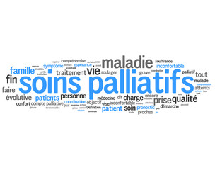 Soins palliatifs (hospice, hôpital)