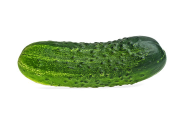 Fresh cucumber isolated on a white background