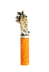 Cigarette butt with ash