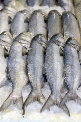 Fish exposed in fish market