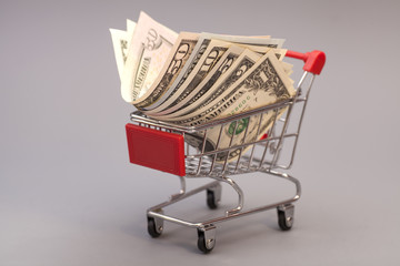 Shopping Cart with dollars isolated on gray
