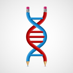 3D creative Icon DNA from pencils.
