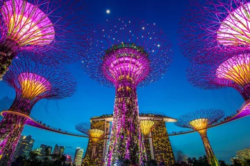 Foto op Plexiglas Singapore Supertrees bij Gardens by the Bay