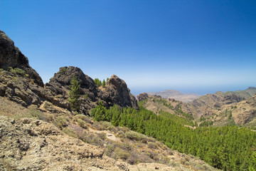 Fototapeta na wymiar Inland Gran Canaria