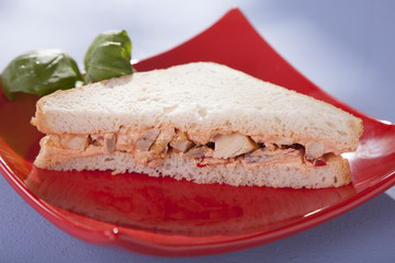 sandwich with chicken
