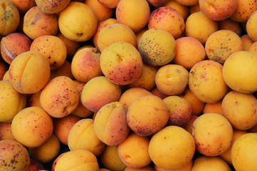 Фон из множества абрикосов.