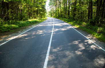 The road in the woods