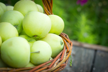 White apple variety Papirovka in a wicker basket on an old woode