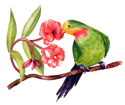 A watercolor drawing of a green parrot on a branch of pink flowers