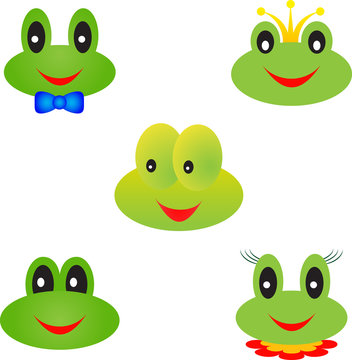 Frog Illustrations