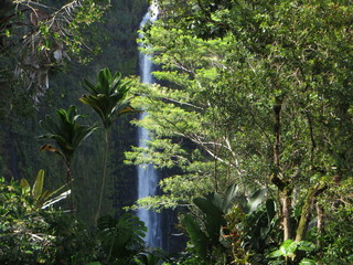 Waterfall, Hawaii, Big Island, USA