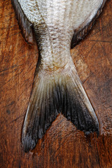 Fresh fish tail of seabream on dark chopping board