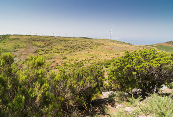 Fototapeta na wymiar Plateau Paul da Serra in Madeira