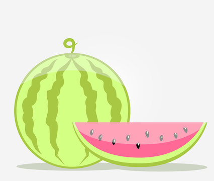 watermelon stock vector