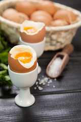 Boiled eggs on dark background